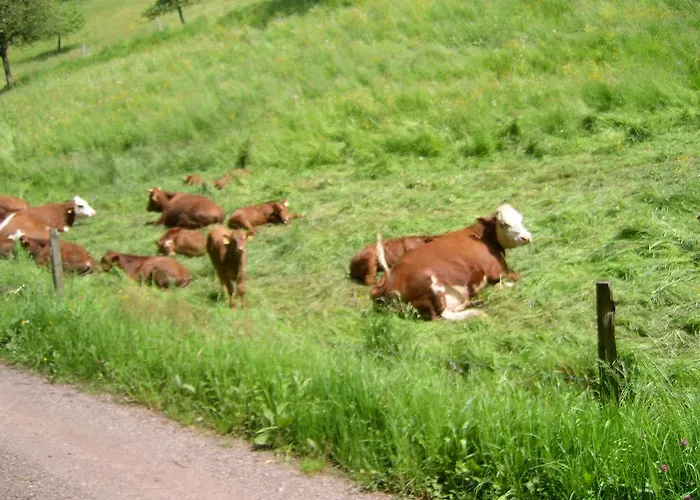 Gasthof Krone 3* Schuttertal